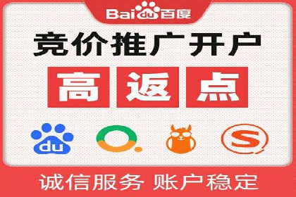 SEM运营策略案例分析